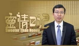 靈情日記 靈情日記