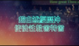 超自然經歷神 使徒性教會特會 超自然經歷神 使徒性教會特會