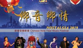 灣區春晚 鄉音鄉情 灣區春晚 鄉音鄉情